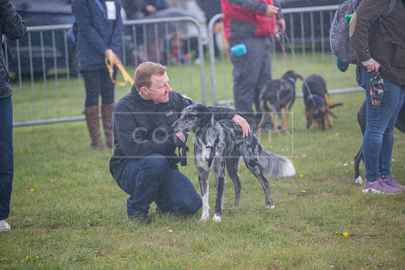 Scruffts heat @ Newbury 12th April 2026-8