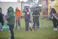 Scruffts heat @ Newbury 12th April 2026-9