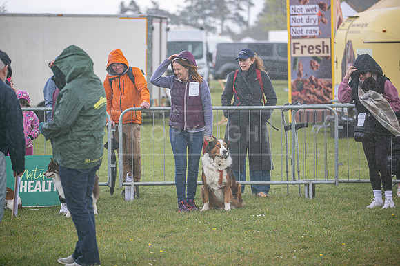 Scruffts heat @ Newbury 12th April 2026-9
