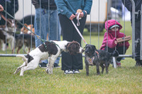 Scruffts heat @ Newbury 12th April 2026-12