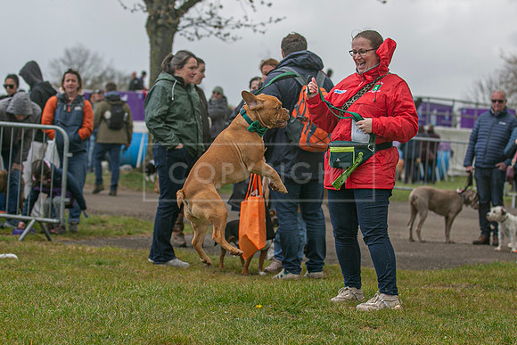 Scruffts heat @ Newbury 12th April 2026-13