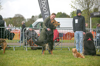Scruffts heat @ Newbury 12th April 2026-14