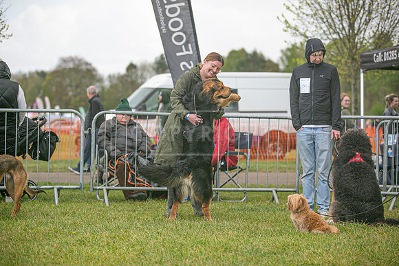 Scruffts heat @ Newbury 12th April 2026-14