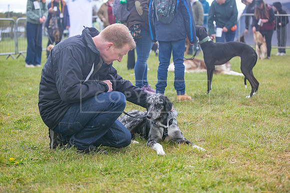 Scruffts heat @ Newbury 12th April 2026-15