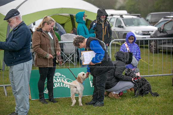Scruffts heat @ Newbury 12th April 2026-18