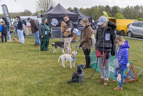 Scruffts heat @ Newbury 12th April 2026-19
