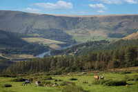 Upperwood 8th Sept-001