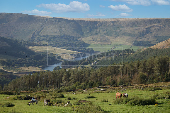 Upperwood 8th Sept-001