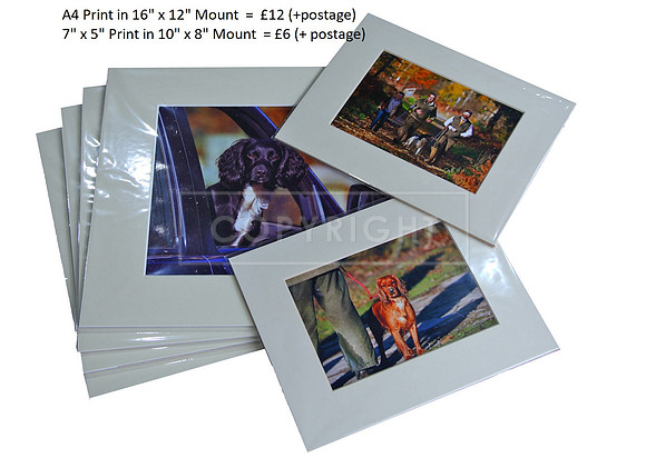 mounted pictures