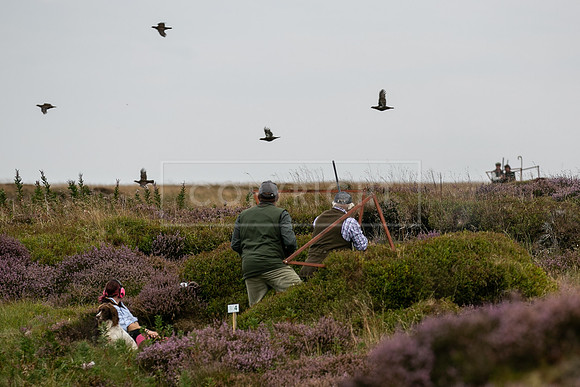 Upperwood 2nd Sept-213