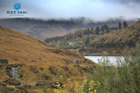 Upperwood 30th Oct 2020