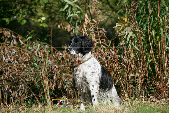 Upperwood 15th Sept-152