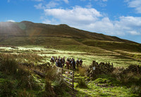 Upperwood 15th Sept-010