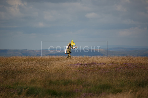 Upperwood 20 aug -01206958