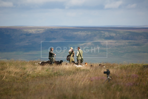 Upperwood 20 aug -01206719