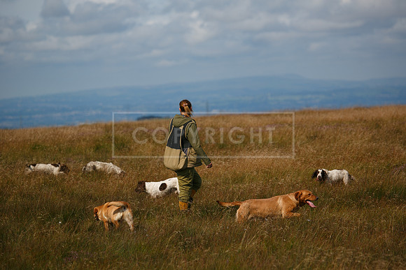 Upperwood 20 aug -01206587
