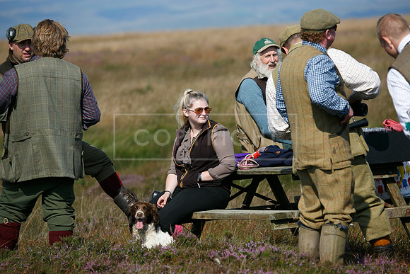 Upperwood 20 aug -01206726