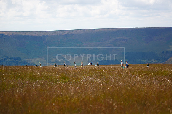 Upperwood 20 aug -01206969