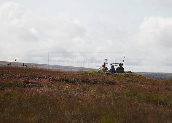 Upperwood 20 aug -0038