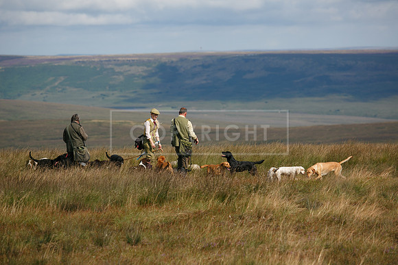 Upperwood 20 aug -01206648