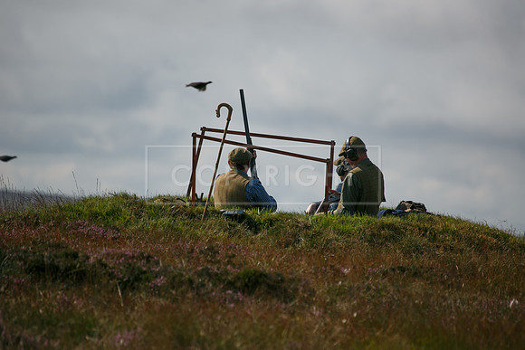 Upperwood 20 aug -01206377