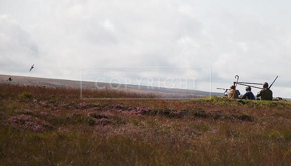 Upperwood 20 aug -0037