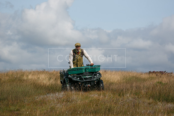 Upperwood 20 aug -01207057