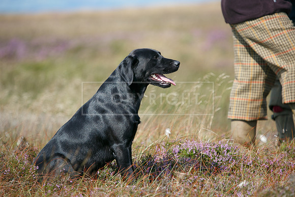 Upperwood 20 aug -01206744