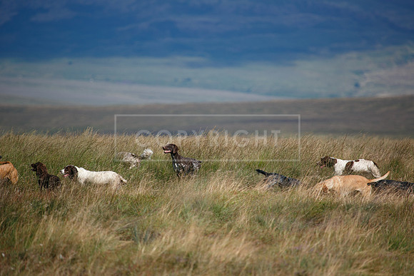 Upperwood 20 aug -01206645