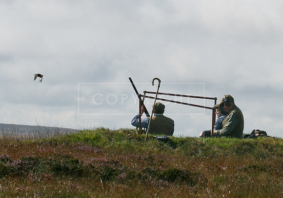 Upperwood 20 aug -01206392