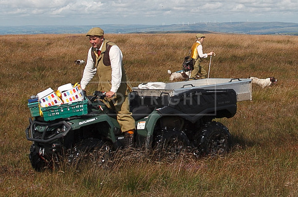 Upperwood 20 aug -0101