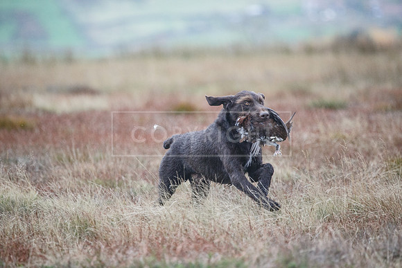 HPR Championships Nov 2021-154