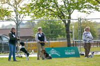 Scruffts Newark Heat 26th April 2026-6