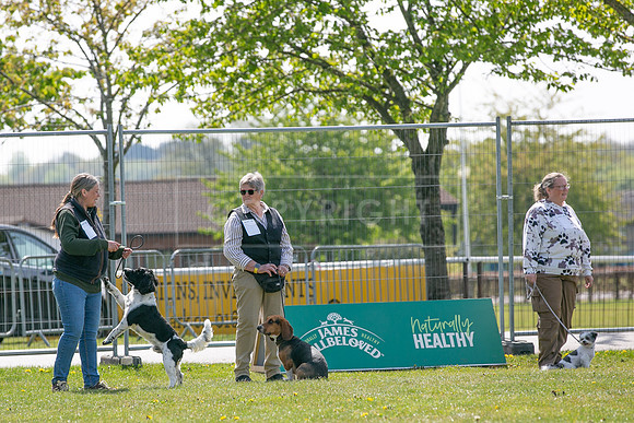 Scruffts Newark Heat 26th April 2026-6