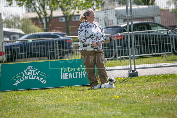 Scruffts Newark Heat 26th April 2026-11