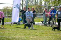 Scruffts Newark Heat 26th April 2026-10