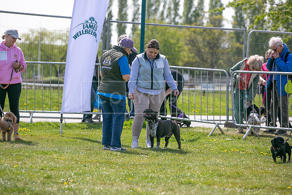 Scruffts Newark Heat 26th April 2026-14
