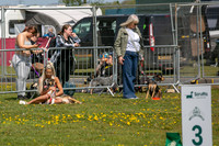 Scruffts Newark Heat 26th April 2026-20