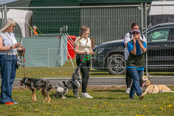 Scruffts Newark Heat 26th April 2026-61