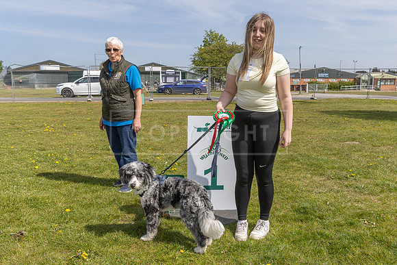 Scruffts Newark Heat 26th April 2026-66