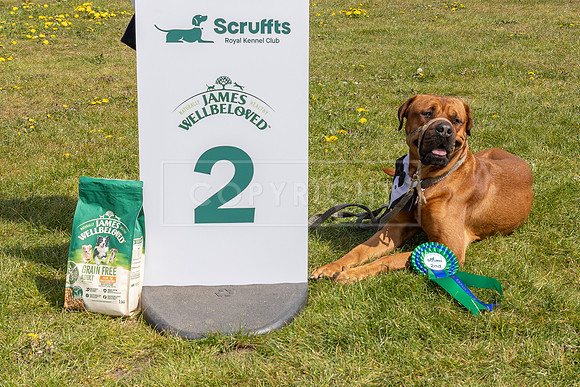 Scruffts Newark Heat 26th April 2026-69