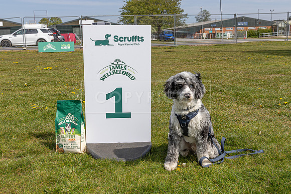Scruffts Newark Heat 26th April 2026-70