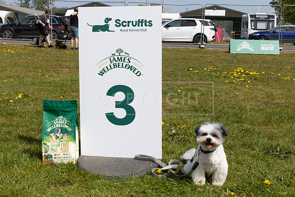 Scruffts Newark Heat 26th April 2026-71