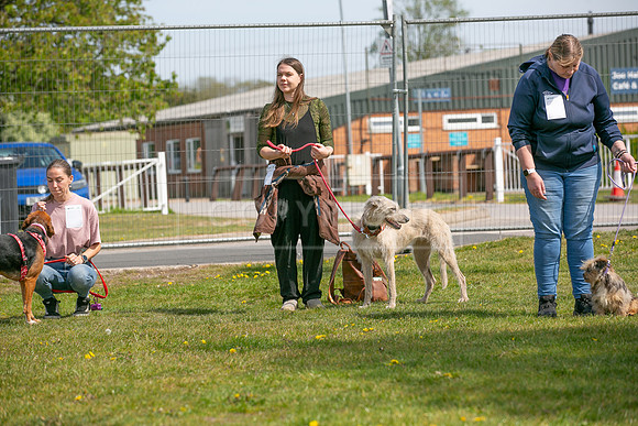 Scruffts Newark Heat 26th April 2026-85