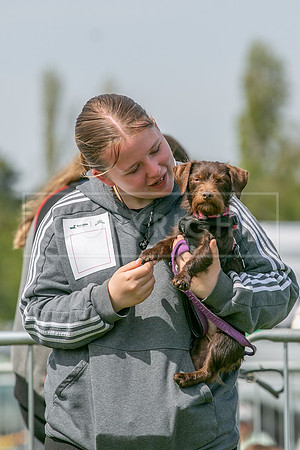 Scruffts Newark Heat 26th April 2026-107