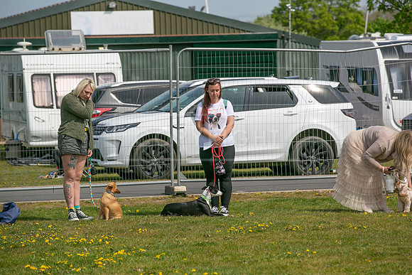 Scruffts Newark Heat 26th April 2026-108