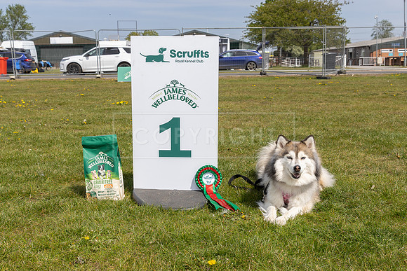 Scruffts Newark Heat 26th April 2026-111