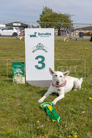 Scruffts Newark Heat 26th April 2026-118