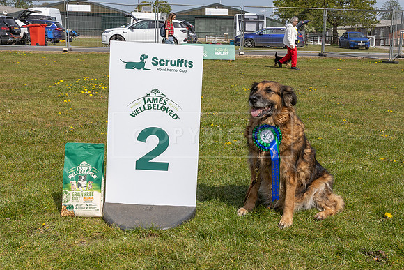 Scruffts Newark Heat 26th April 2026-150