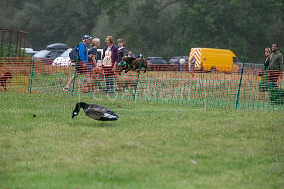Jixenwell Scurry Challenge Final 2024-0210